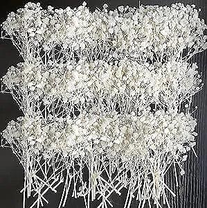 50 PCS White Pressed Dried Baby's Breath Flowers Bulk